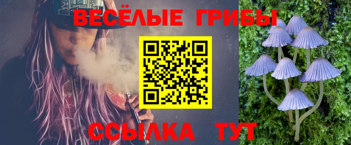 Галлюциногенные грибы GOLDEN TEACHER  Вход с VPN  Псилоцибиновые грибы GOLDEN TEACHER  Алексеевка 