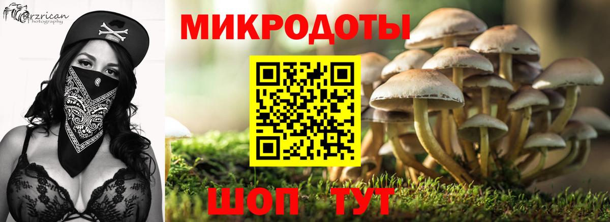 Псилоцибиновые грибы прущие грибы Алексеевка